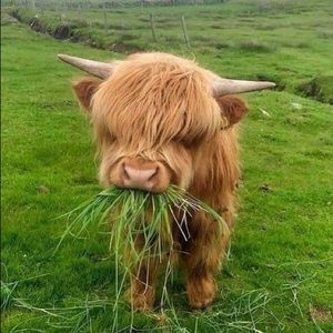 Meet your Posher, Arianna